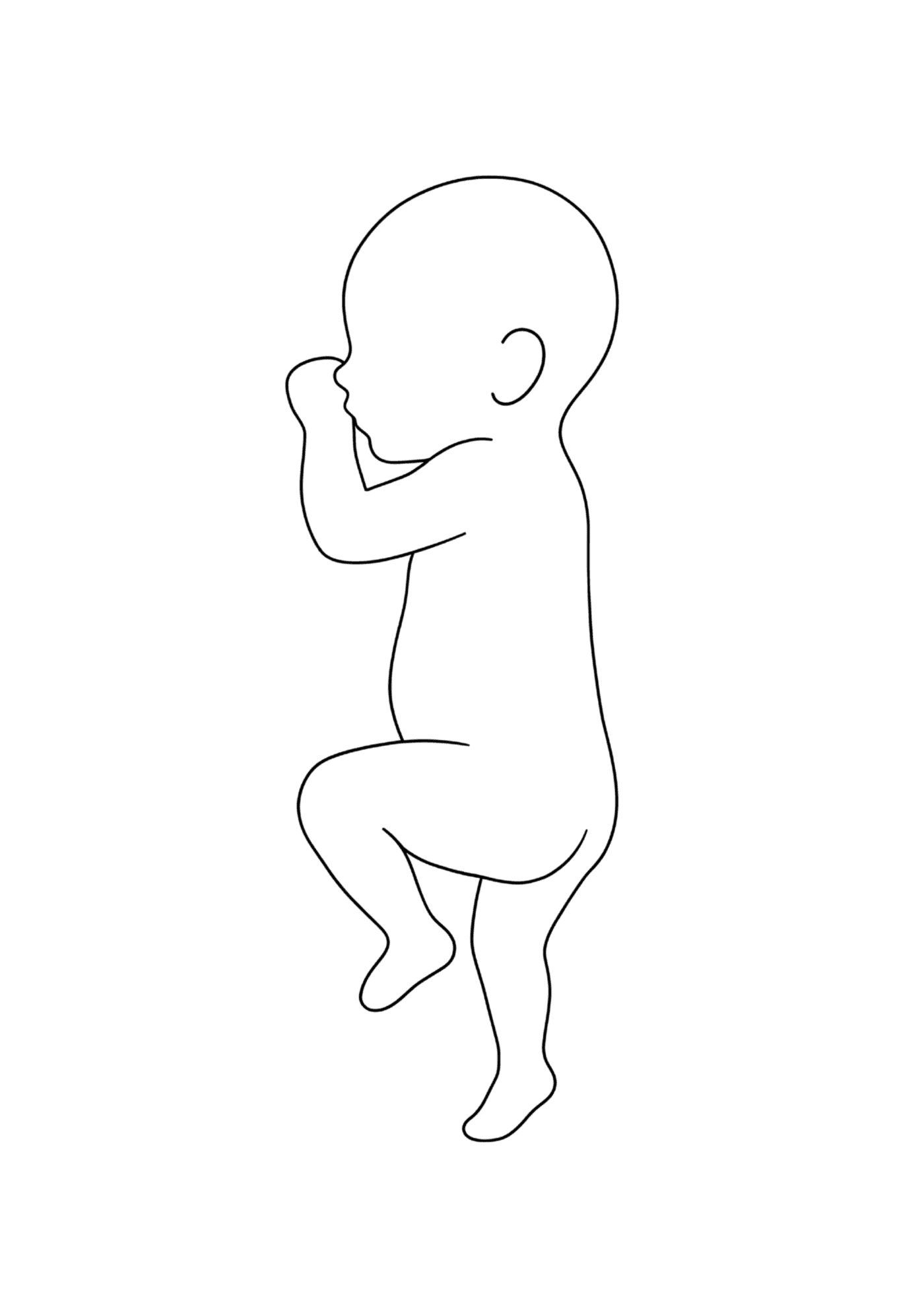 Origin 1